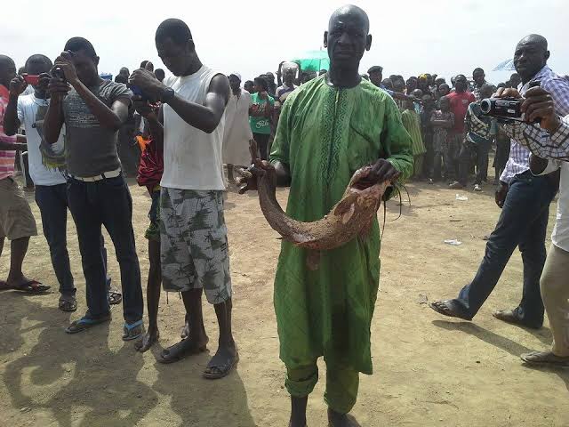 COVID19: Lokoja Annual Fishing Festival Cancelled