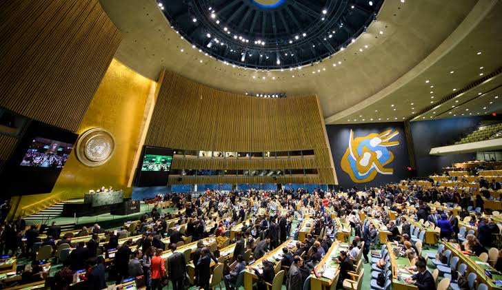 COVID19: UN General Assembly Adopts Omnibus Resolution