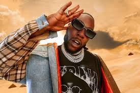 #EndSARS: Burma Boy Joins Campaign,Birth ” ProjectProtect”