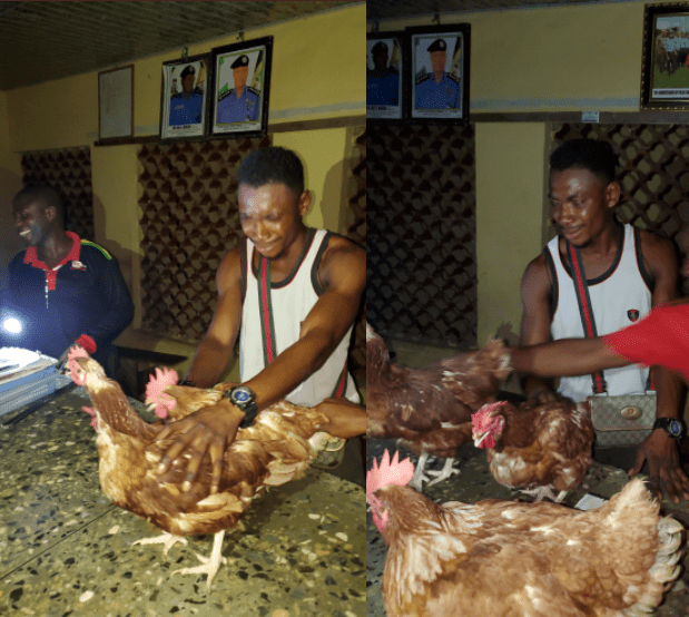 Vigilantes Arrest One In Kano For Stealing From Poultry