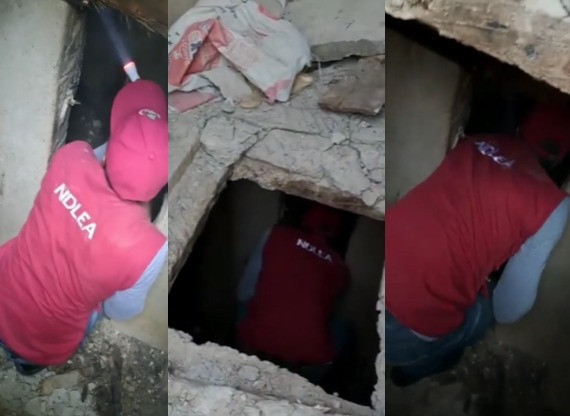 NDLEA Uncovers Underground Drug Bunk in Delta