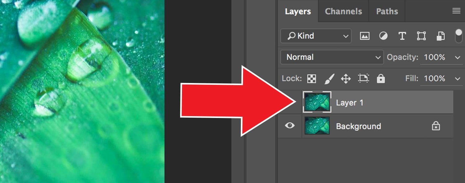 How To Sharpen Images With A High Pass Filter In Photoshop