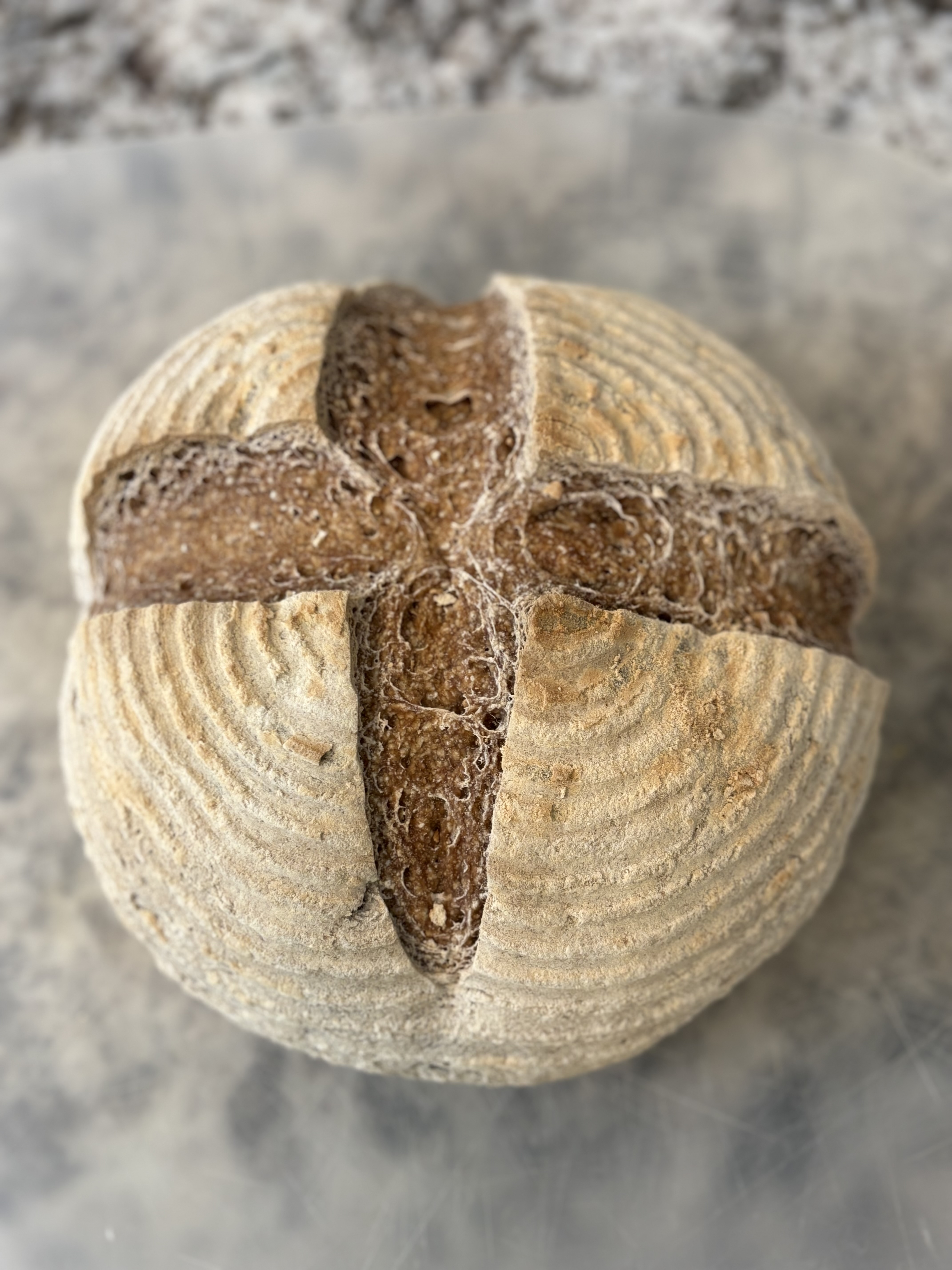 Sourdough Bread
