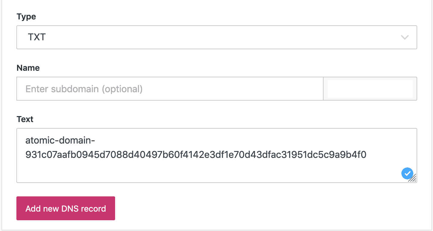 Adding txt records to your DNS settings in WordPress.