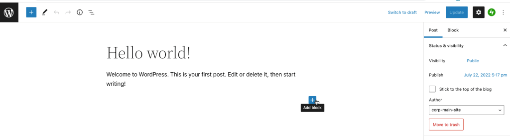 Block / Gutenberg editor showing post preview  