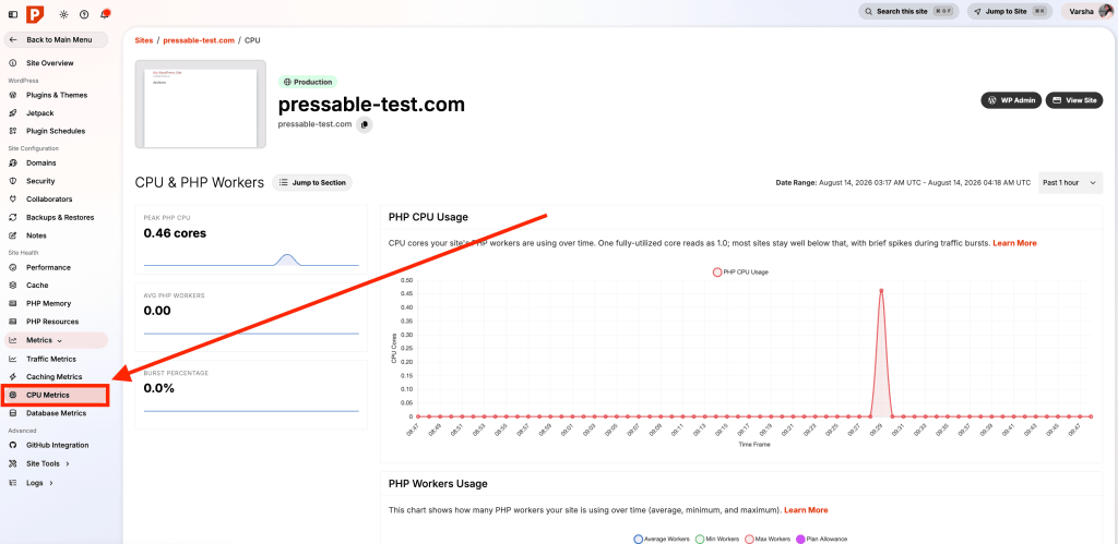 CPU Metrics - PHP Worker Usage