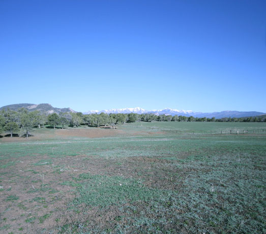 Webb Ranch edit