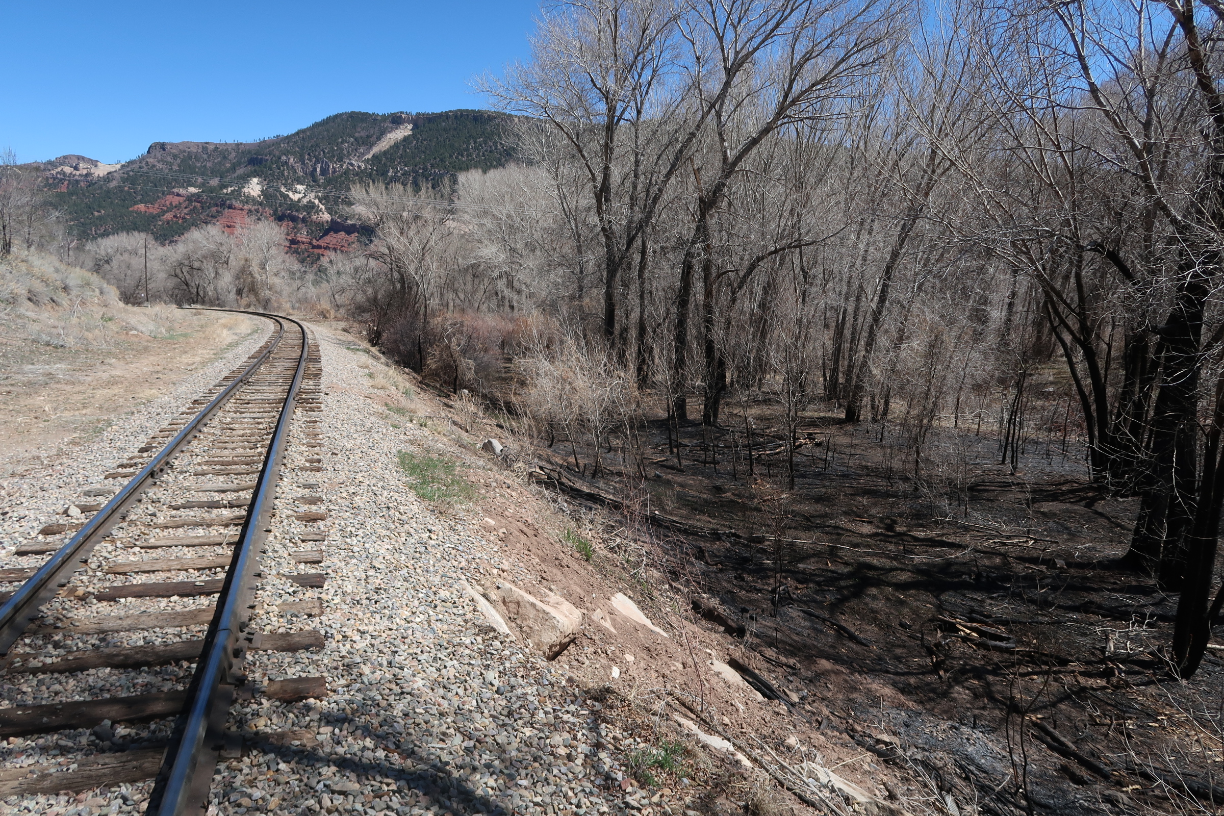 wildland fire