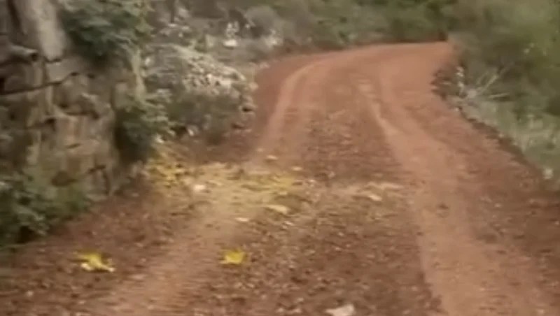 İzmit’te Yol Kirliliği Tepki Çekti!