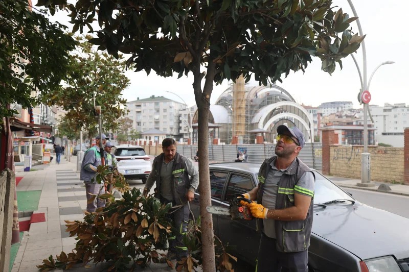 Çayırova’da Mevsimlik Budama Çalışmaları Başladı!