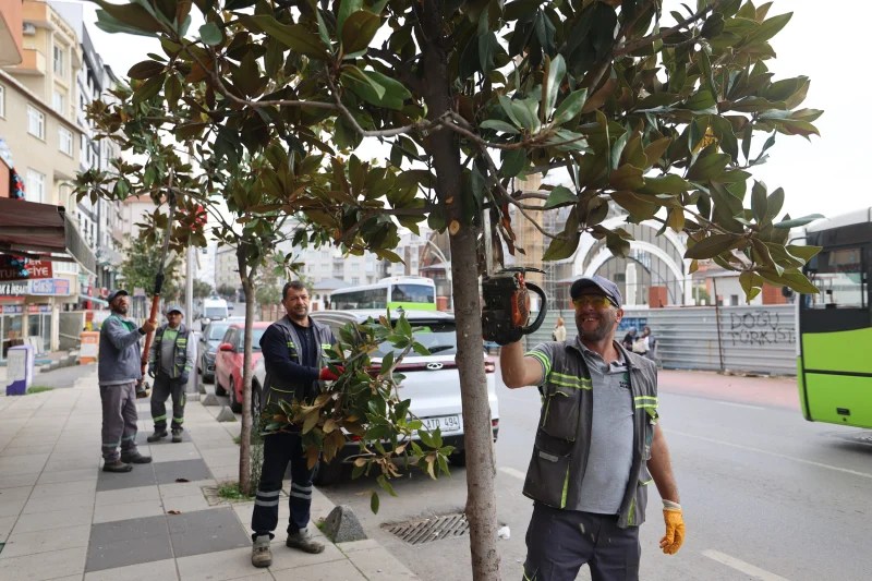 Çayırova’da Mevsimlik Budama Çalışmaları Başladı!