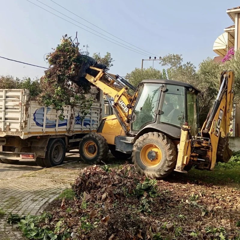 Körfez’de Yeşil Alanlara Bakım Devam Ediyor!