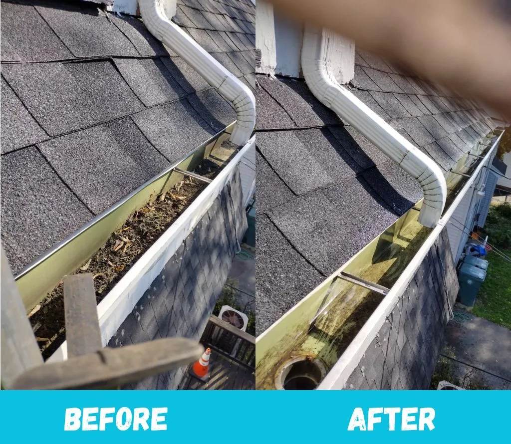 Gutter cleaning (3)