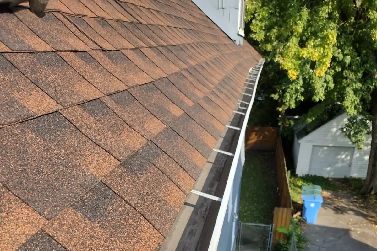 Gutter cleaning (5)