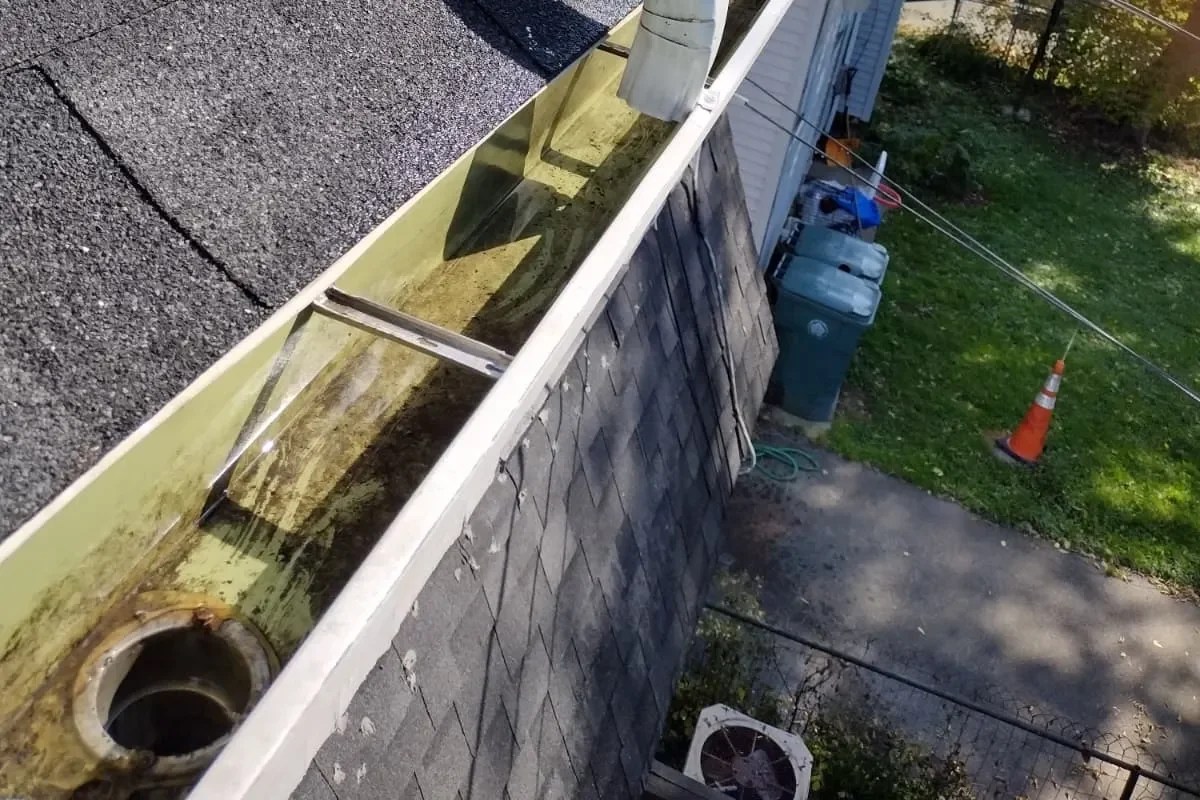 Gutter cleaning (9)