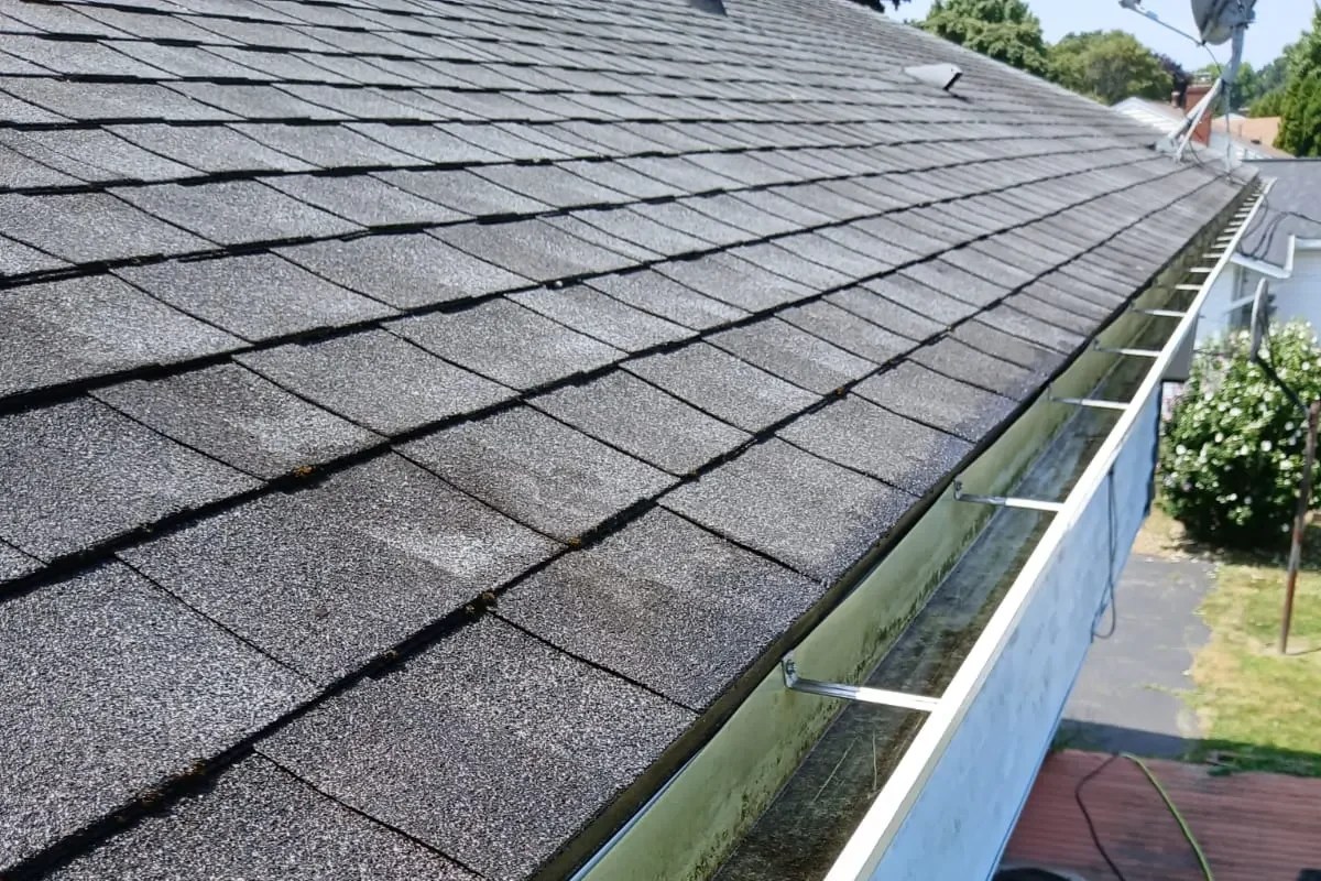 Gutter cleaning