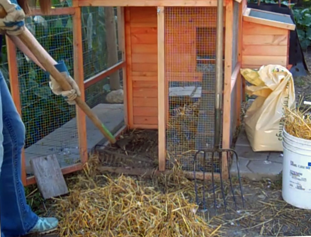 How to clean your chicken coops