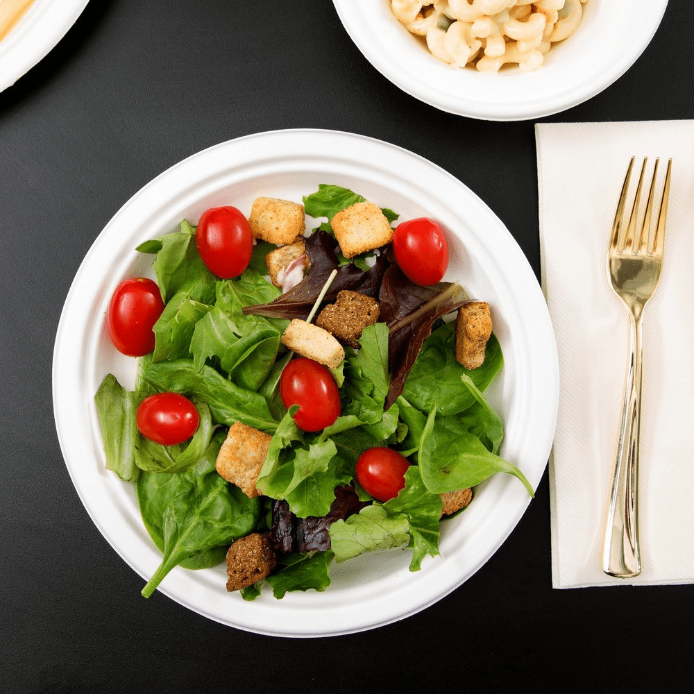 EC-PL012 Natural Bagasse Plate