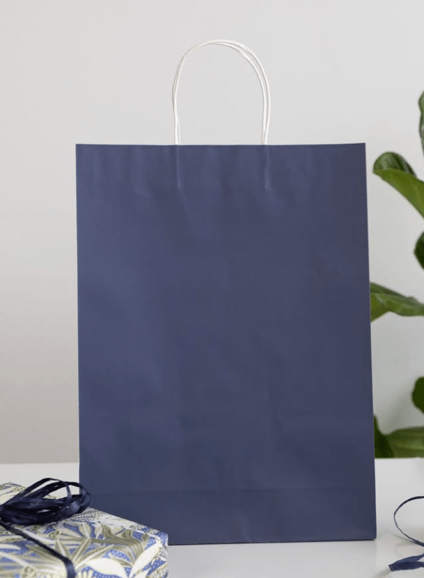 Earth Collection Large Navy Blue Kraft Carry Bags