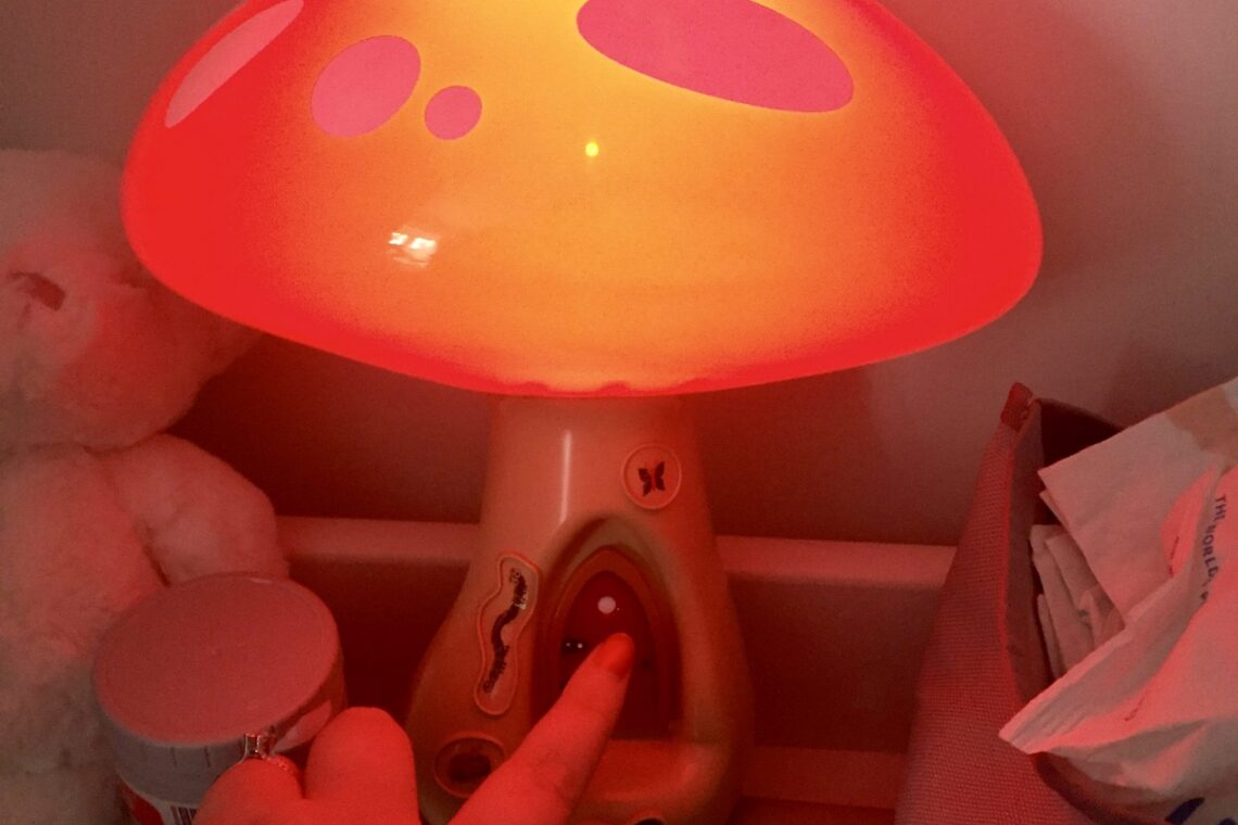 Toadstool Night Light – Helping Fairies To Relocate