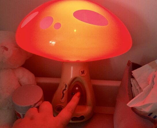 Toadstool Night Light – Helping Fairies To Relocate