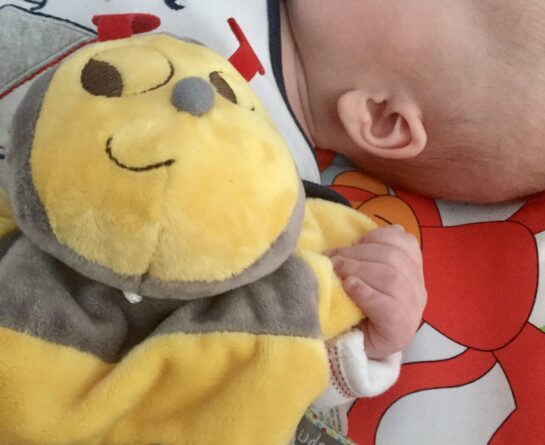 DouDou NopNop by Kaloo