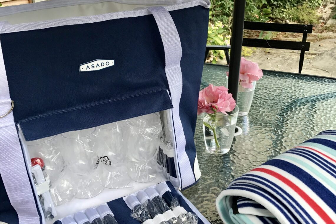 National Picnic Week – Our first picnic – sort of