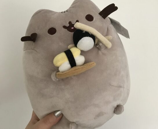 Sushi Pusheen – The cutest soft toy around