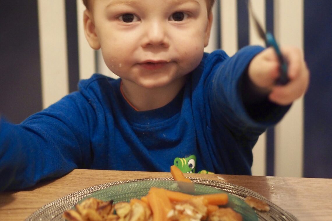 Food For Fussy Kids – Young’s Cod With Vegetable Chips