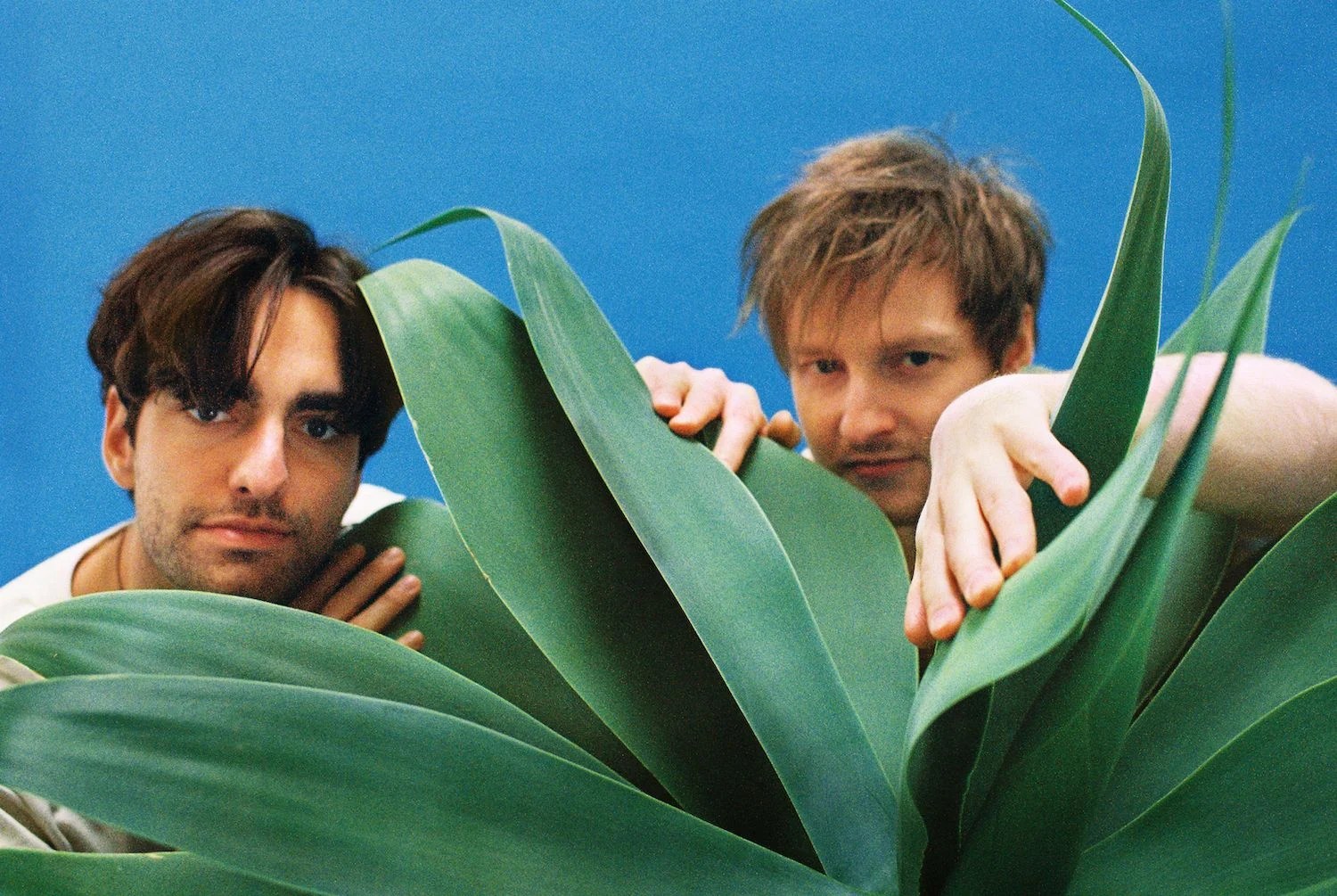 VIDEO: Mar Malade mit finalem Albumvorboten Coco 