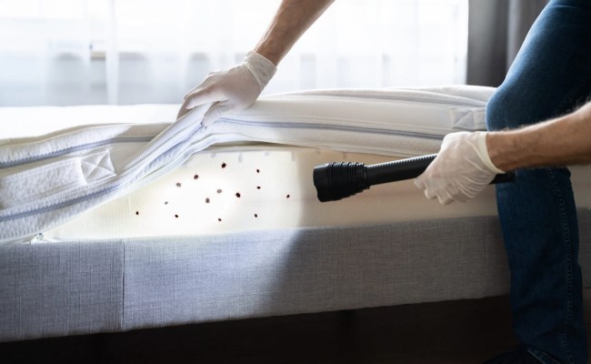 How To Prevent Bed Bugs From Entering Your Home | Blog