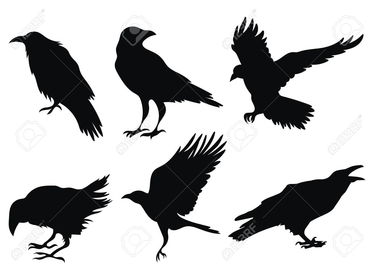 Set Of Ravens. A Collection Of Black Crows. Silhouette Of A Flying Crow. Vector Illustration Of Ravens Silhouette. Grunge Bird Tattoo. Royalty Free Cliparts, Vectors, And Stock Illustration. Image 130641138. 975_x_1300_jpg