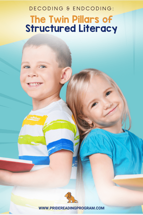 Decoding Encoding Core Processes In Structured Literacy - Premium Gradient Design Gallery - 8K