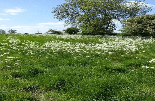 The Garden of the Fountain of The Gods