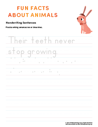 Sentence Writing: Rabbit | PrimaryLearning.Org