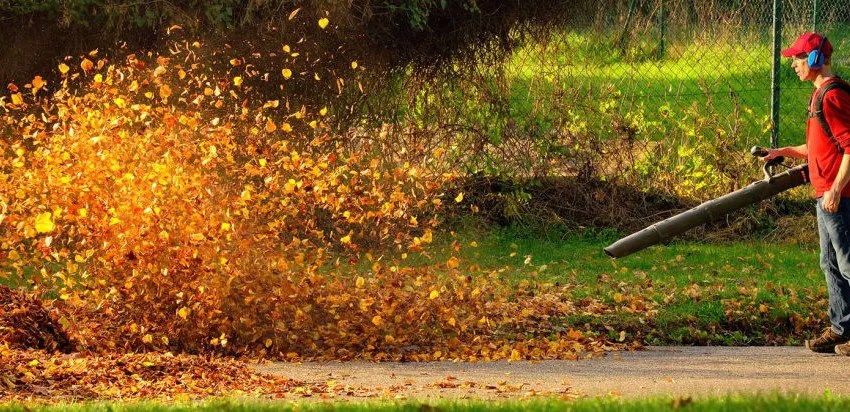 fall-blower