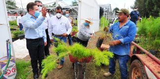 Arranca Aispuro campaña de reforestación Durango Respira