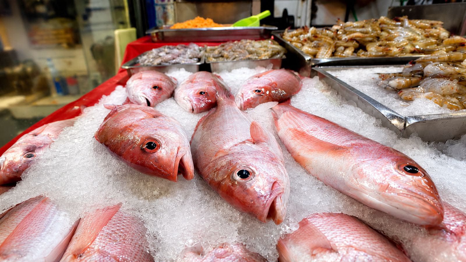 Pescado