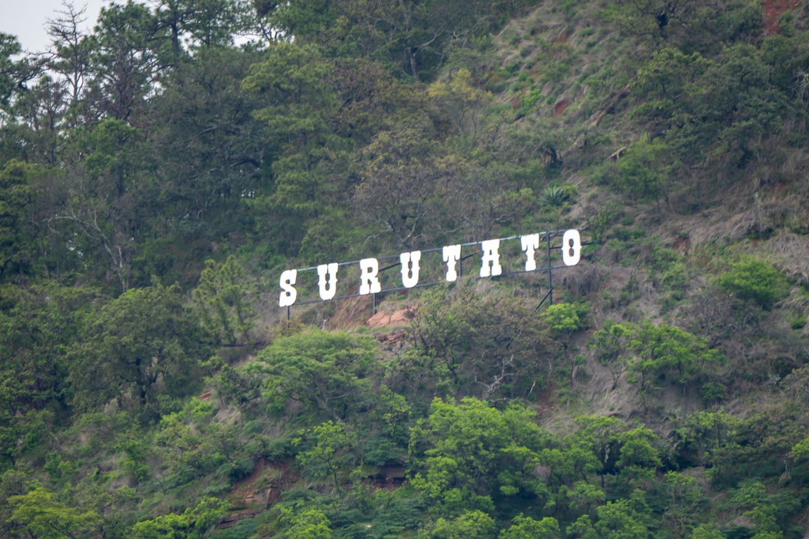 Surutato
