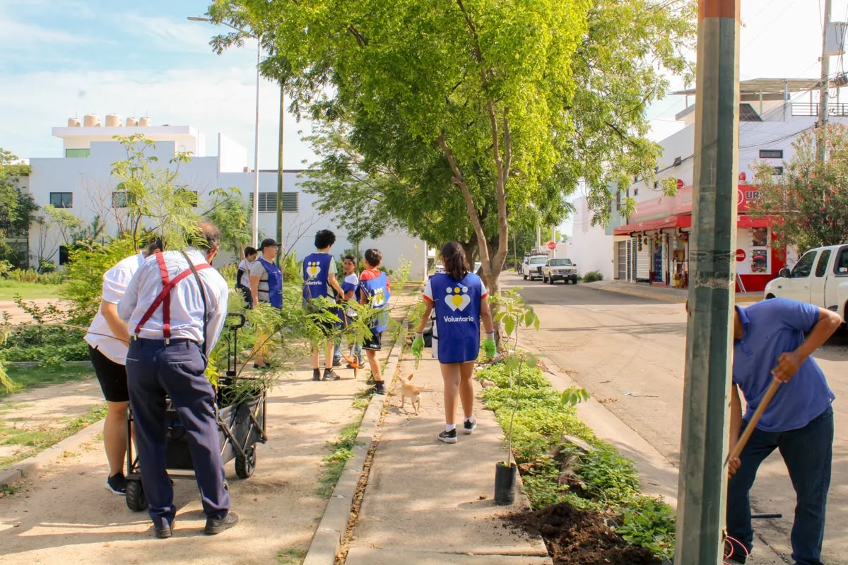 Voluntarios