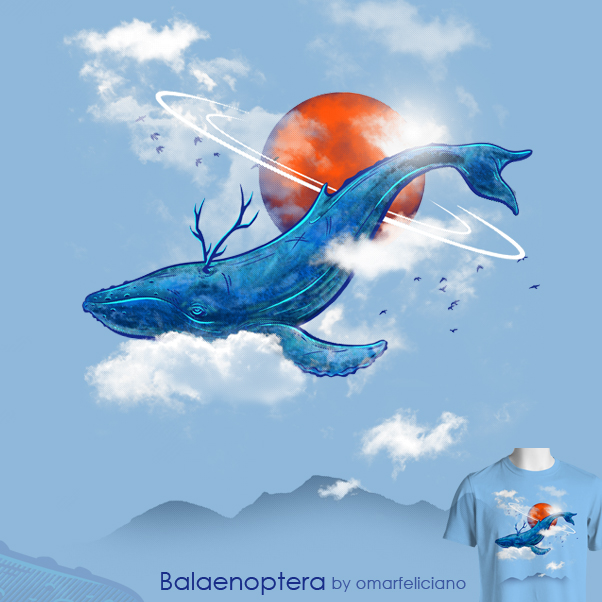 Balaenoptera