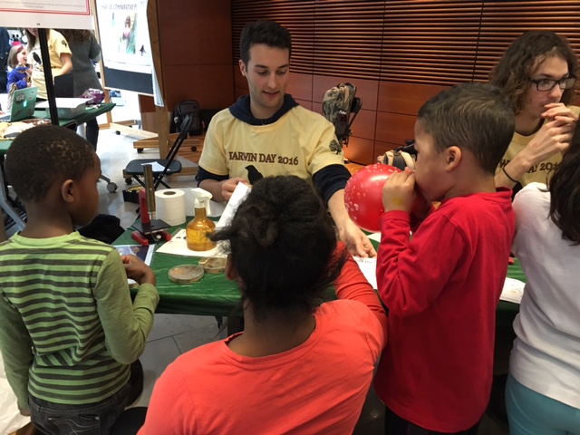 Ckpringle Calum Pringle Github - Beautiful Landscape Art - 4K