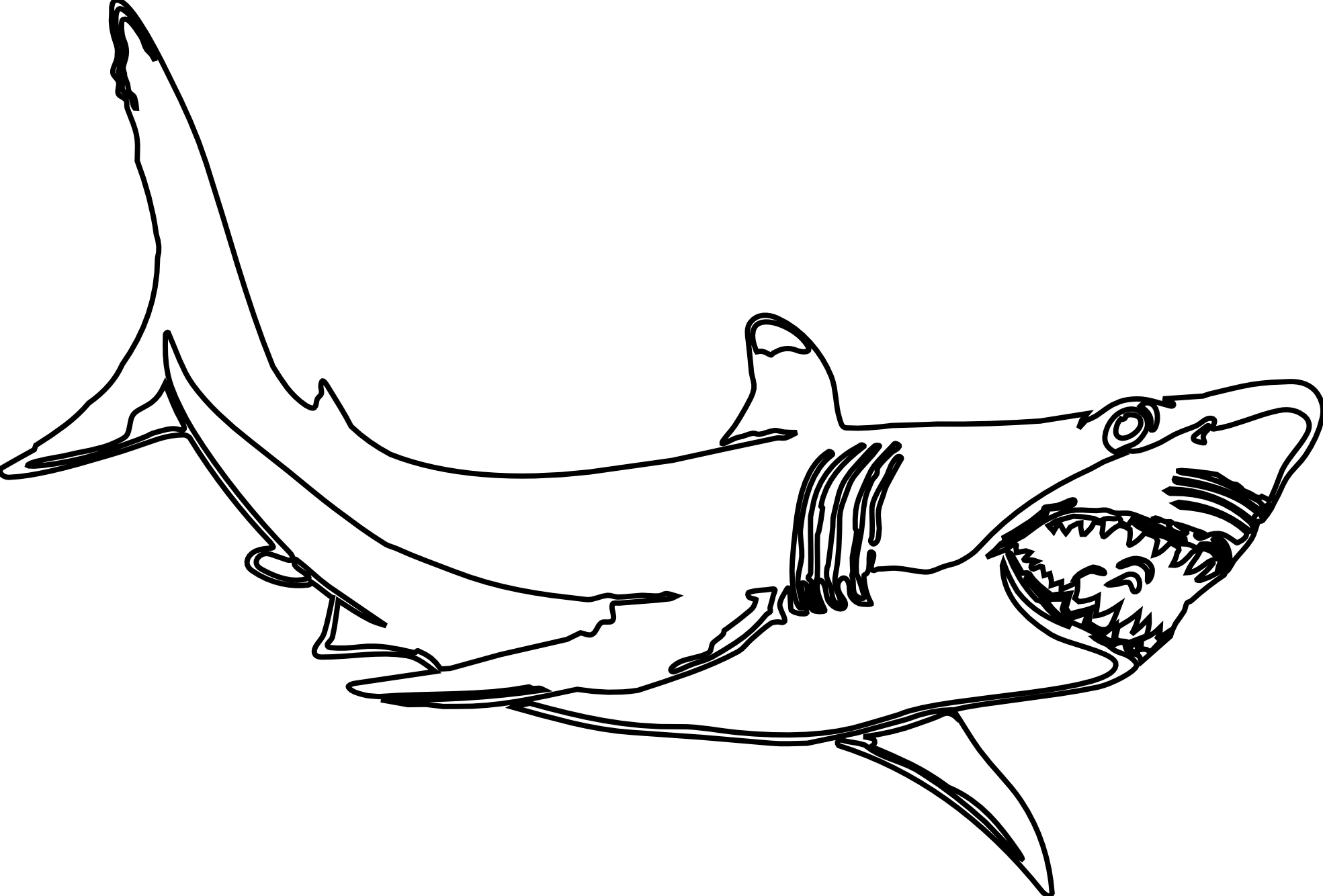 When it gets too hot to play outside, these summer printables of beaches, fish, flowers, and more will keep kids entertained. Drawing Shark 14837 Animals Printable Coloring Pages