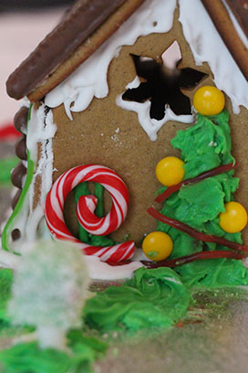 IMG_5100 IMG_5100