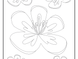 Free Flower Coloring Pages Pre Pdf Infoupdate Org