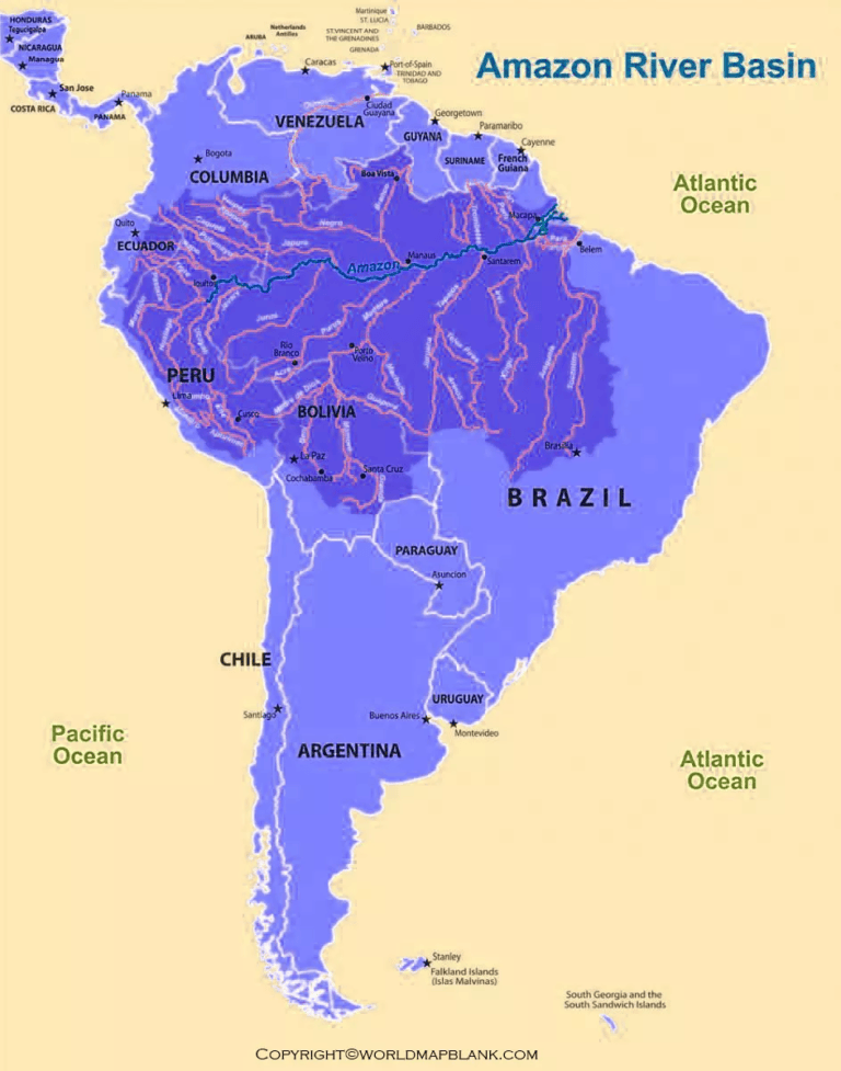 Amazon River World Map Amazon River On World Map Printable World Maps Image 131 768x977 