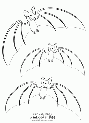 Cute cartoon halloween bat presenting with his wings. 3 Cute Bats Print Color Fun