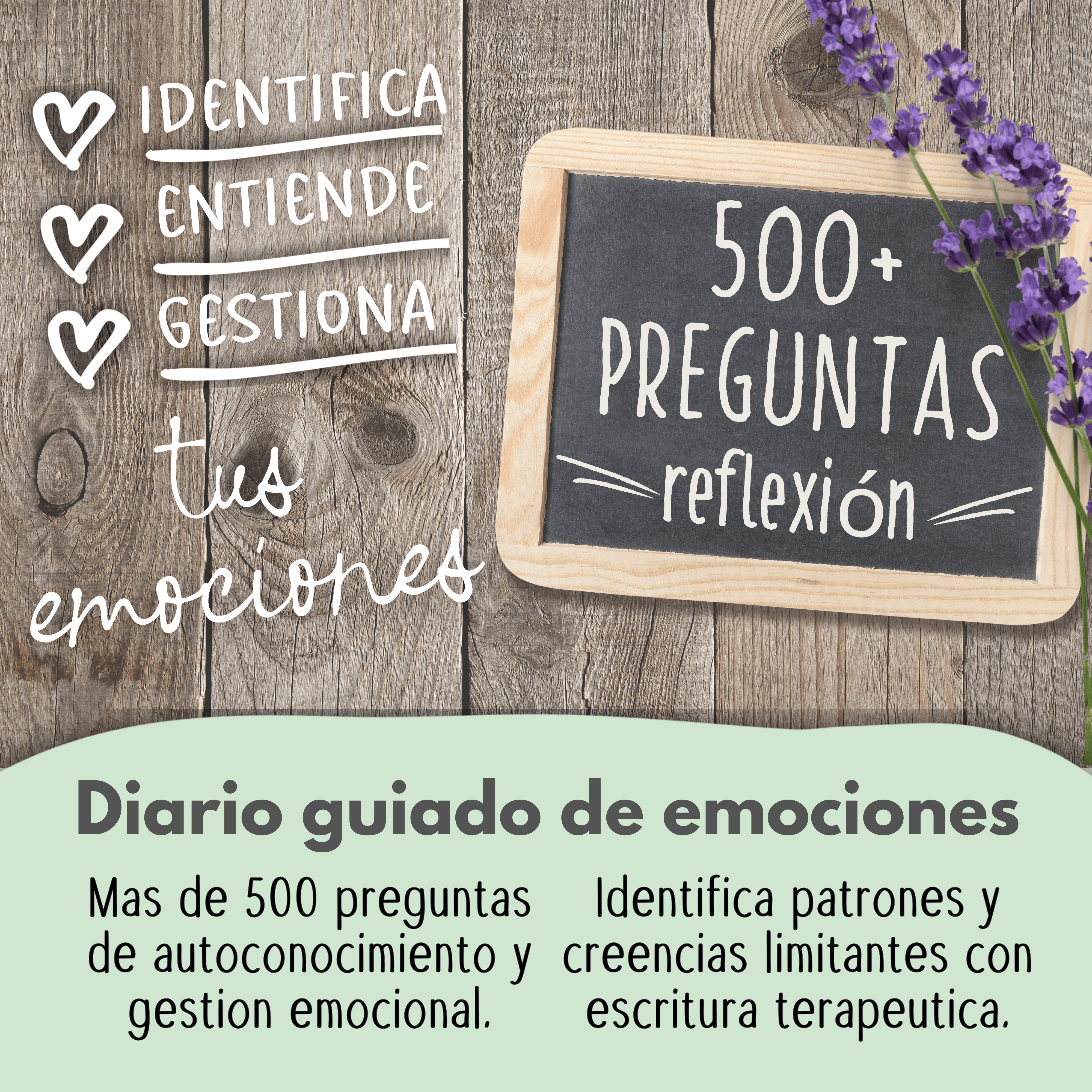 Diario de gestión de emociones