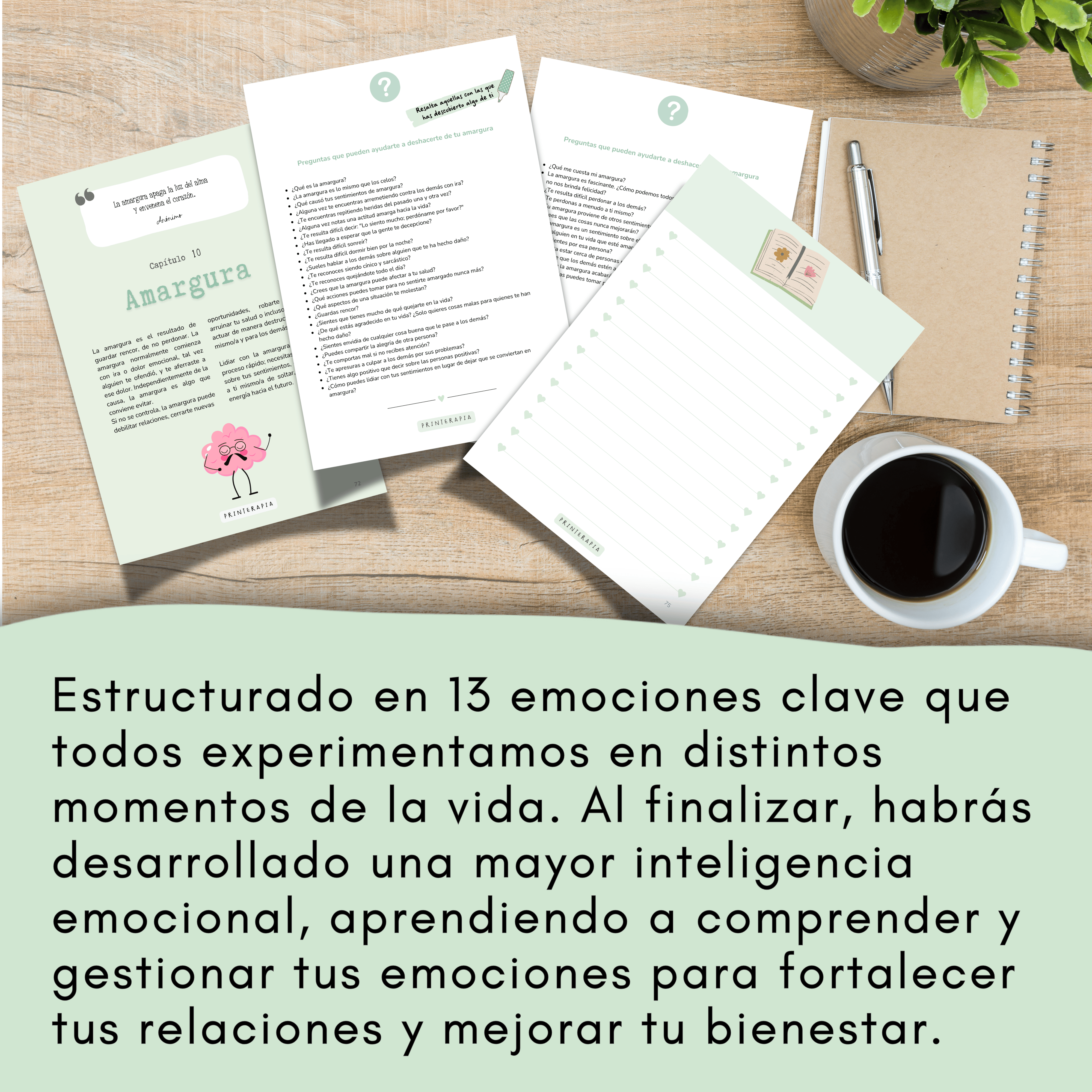 Diario de gestión de emociones