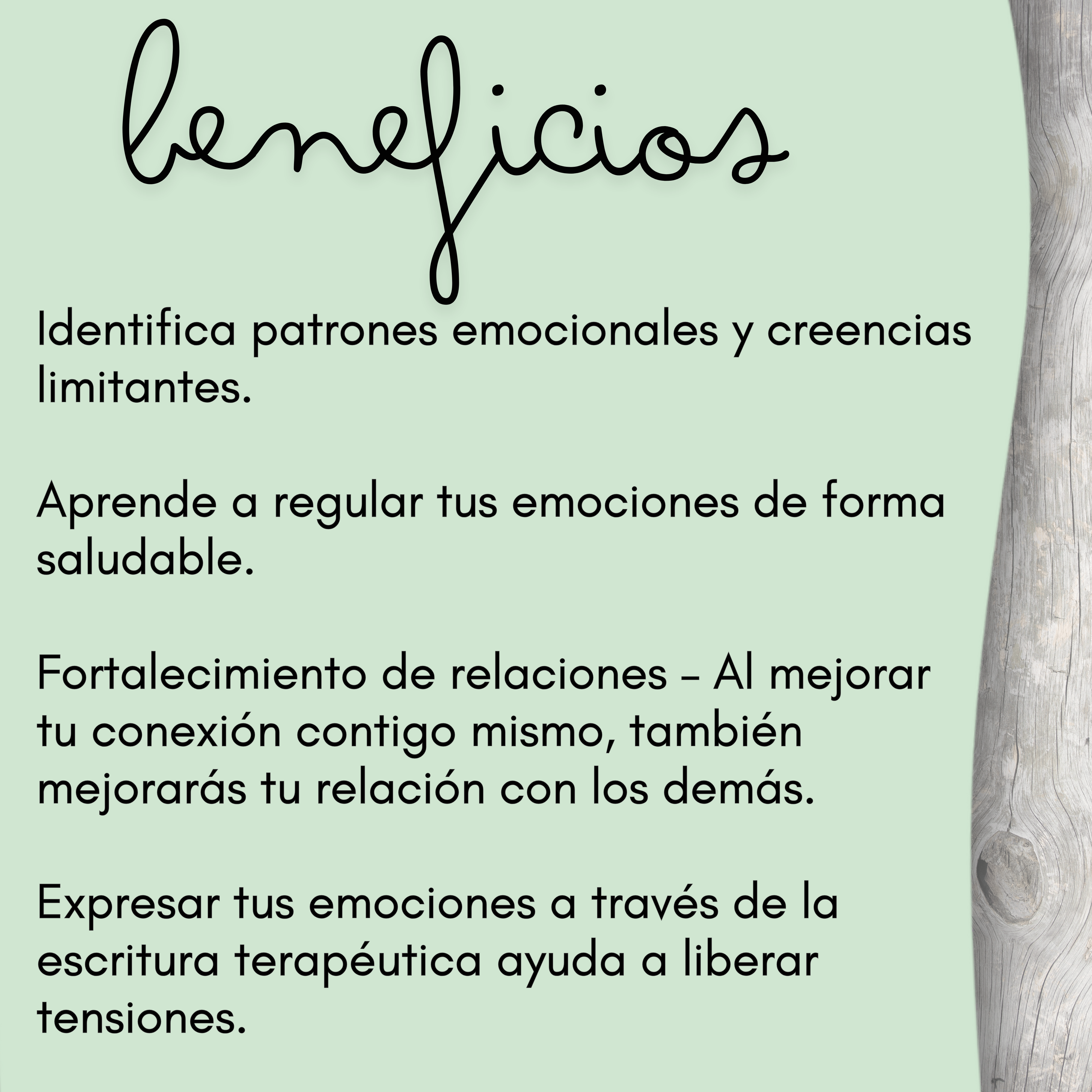 Diario de gestión de emociones